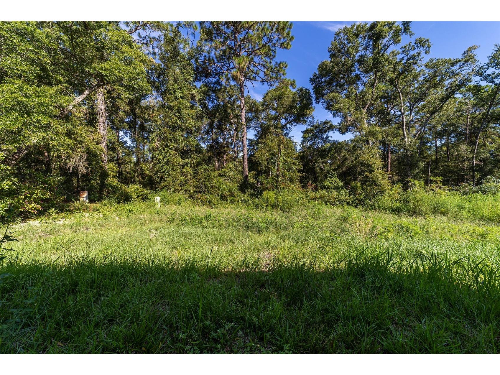 15431 Southwest 41st Street Road Ocala FL 34481 O6341935 image42