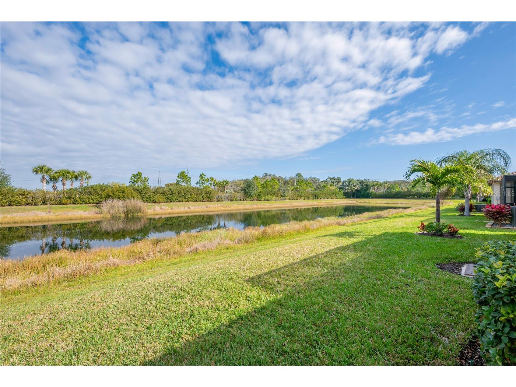 15433 Santa Pola Drive Wimauma FL 33598 TB8460680 image22