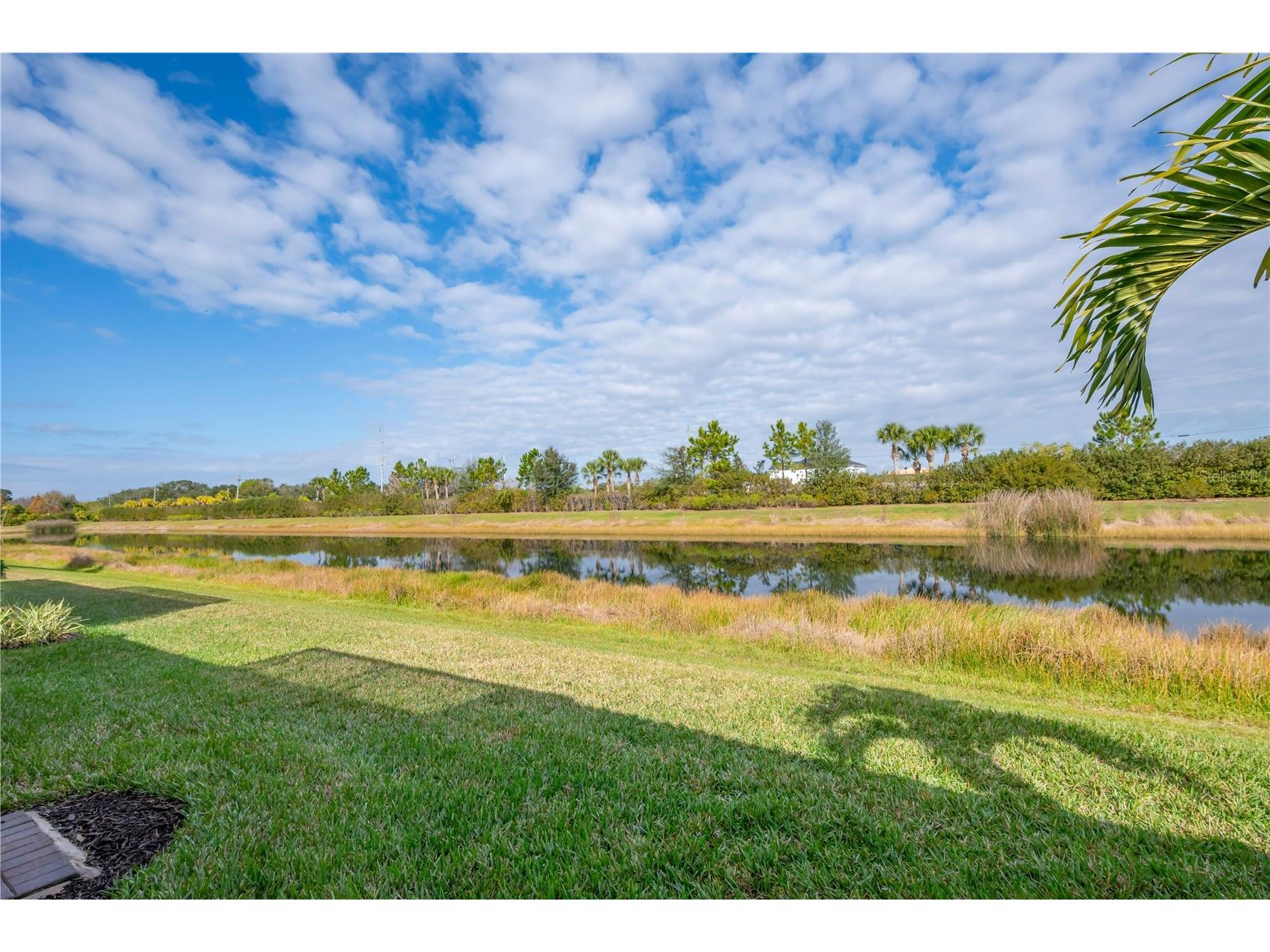 15433 Santa Pola Drive Wimauma FL 33598 TB8460680 image23