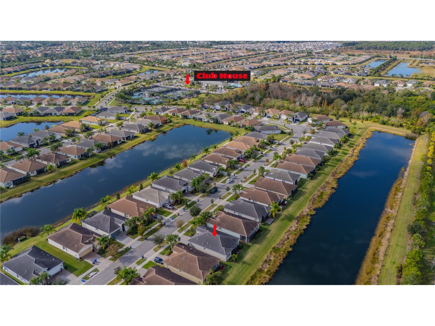 15433 Santa Pola Drive Wimauma FL 33598 TB8460680 image26