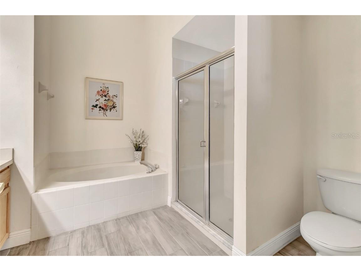 15434 Markham Drive Clermont FL 34714 G5105069 image27