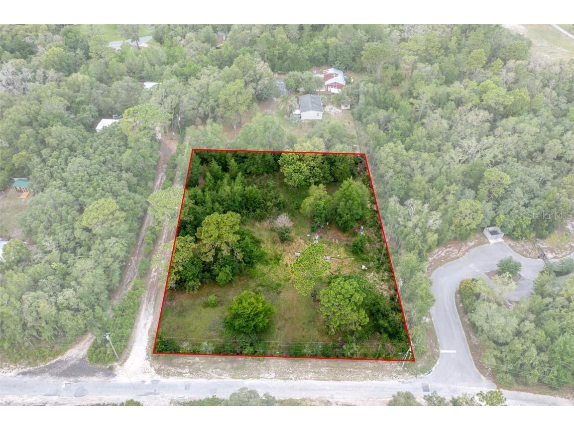 15435 Peter Max Boulevard Hudson FL 34669 W7855176 image1