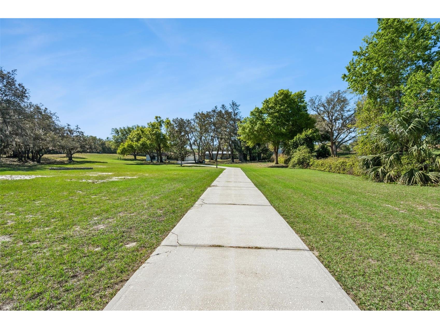 15436 Vinola Drive Montverde FL 34756 G5109977 image2