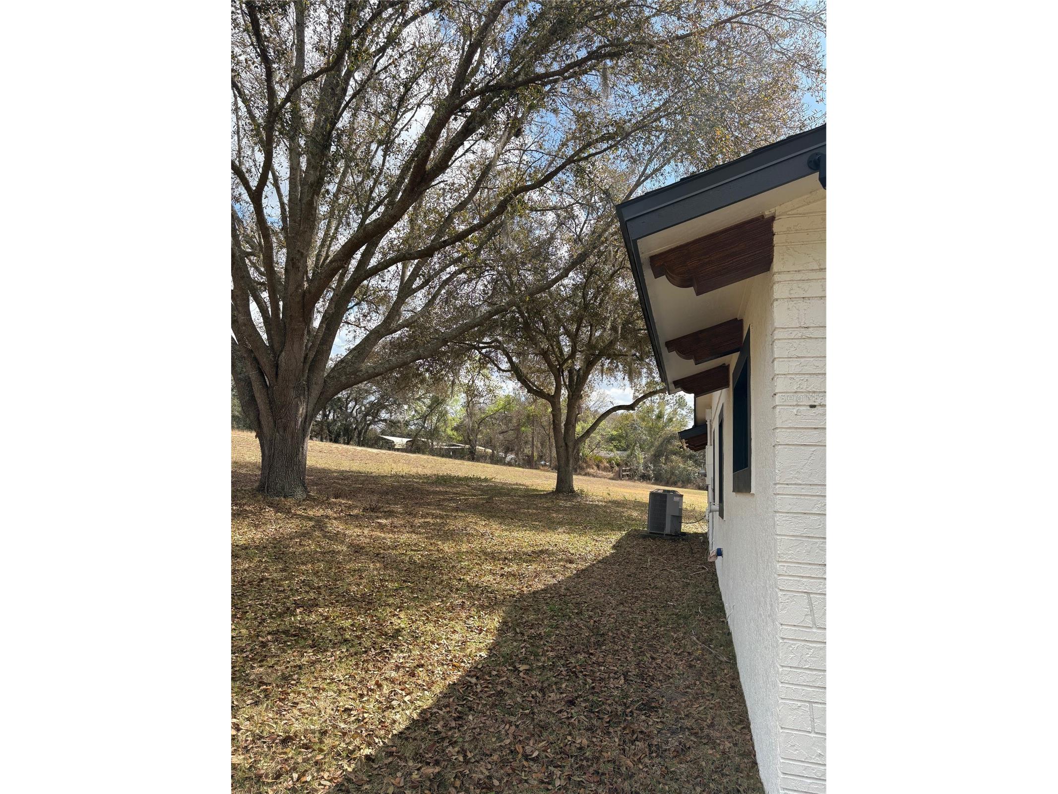 15436 Vinola Drive Montverde FL 34756 G5109977 image50
