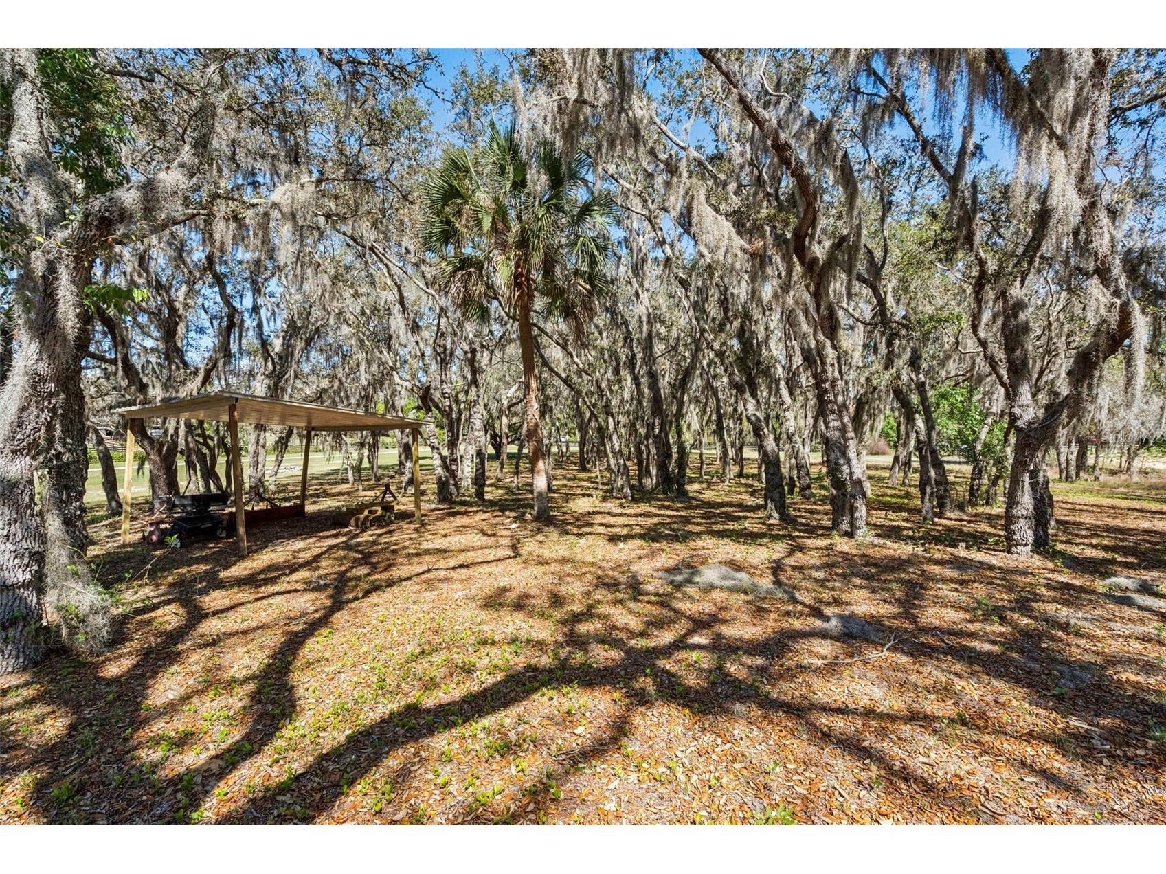 15436 Vinola Drive Montverde FL 34756 G5109977 image53