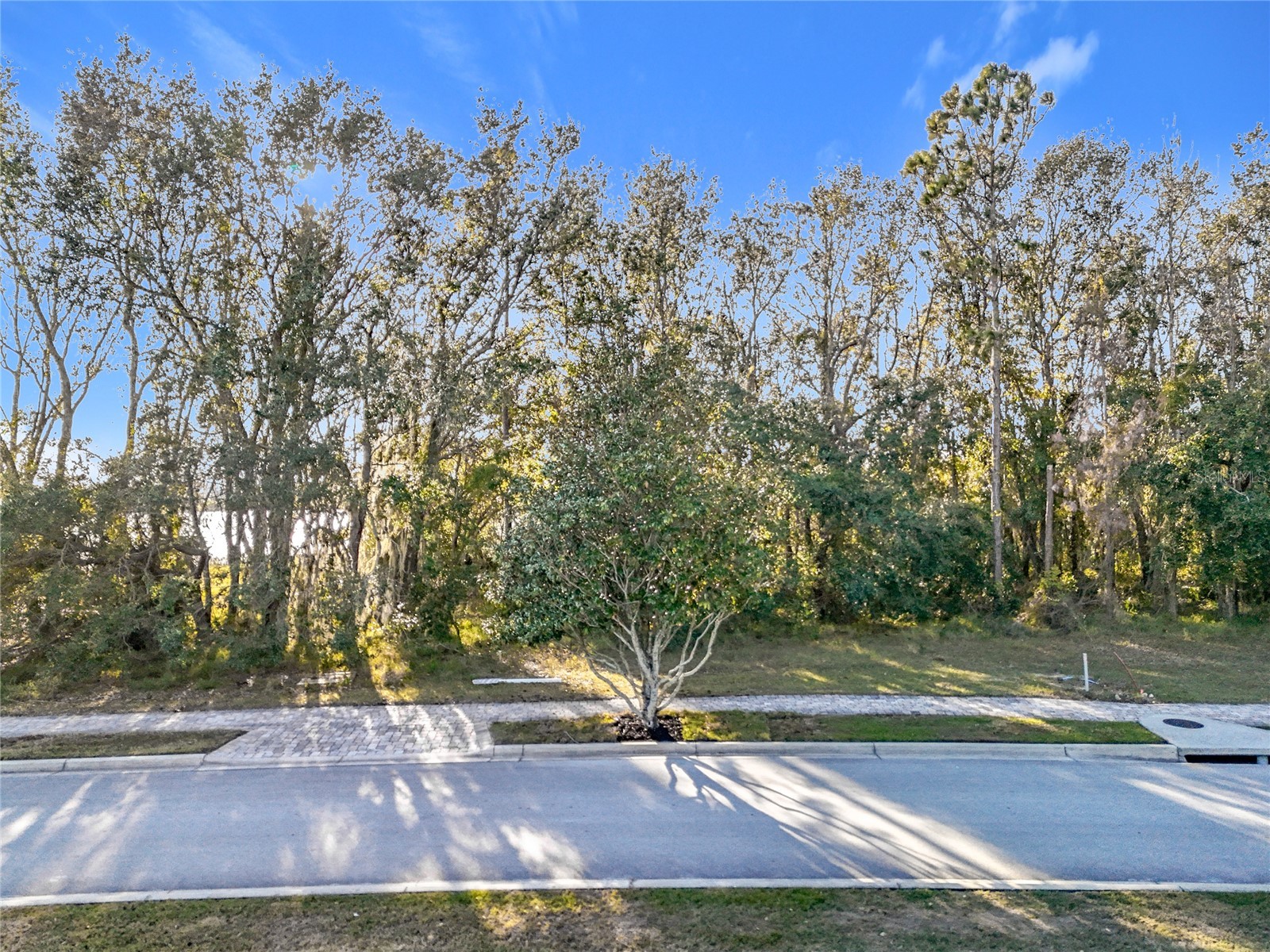 15437 Pendio Drive Montverde FL 34756 - LAKE SIENA O6273201 image29