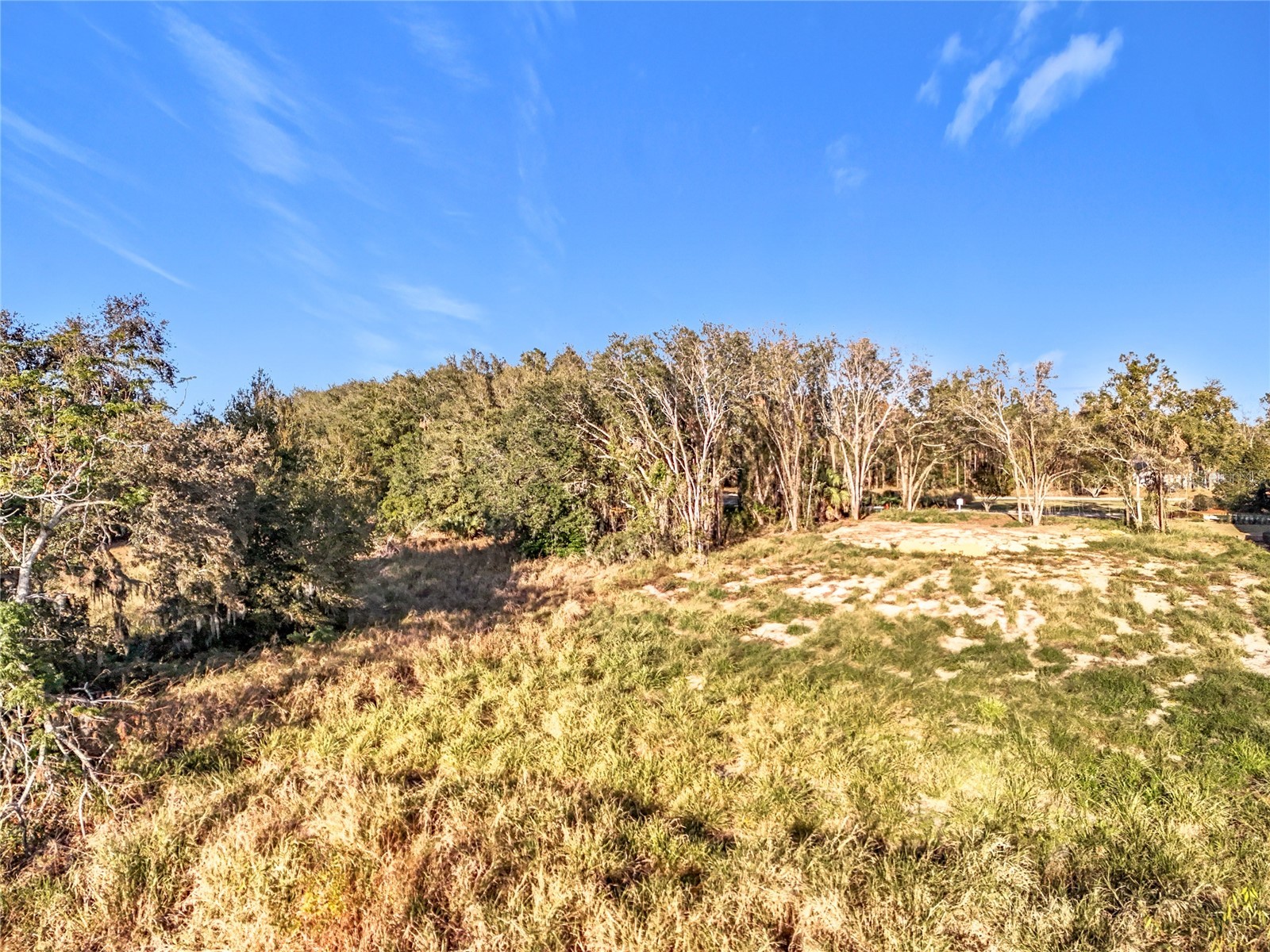 15437 Pendio Drive Montverde FL 34756 - LAKE SIENA O6273201 image31