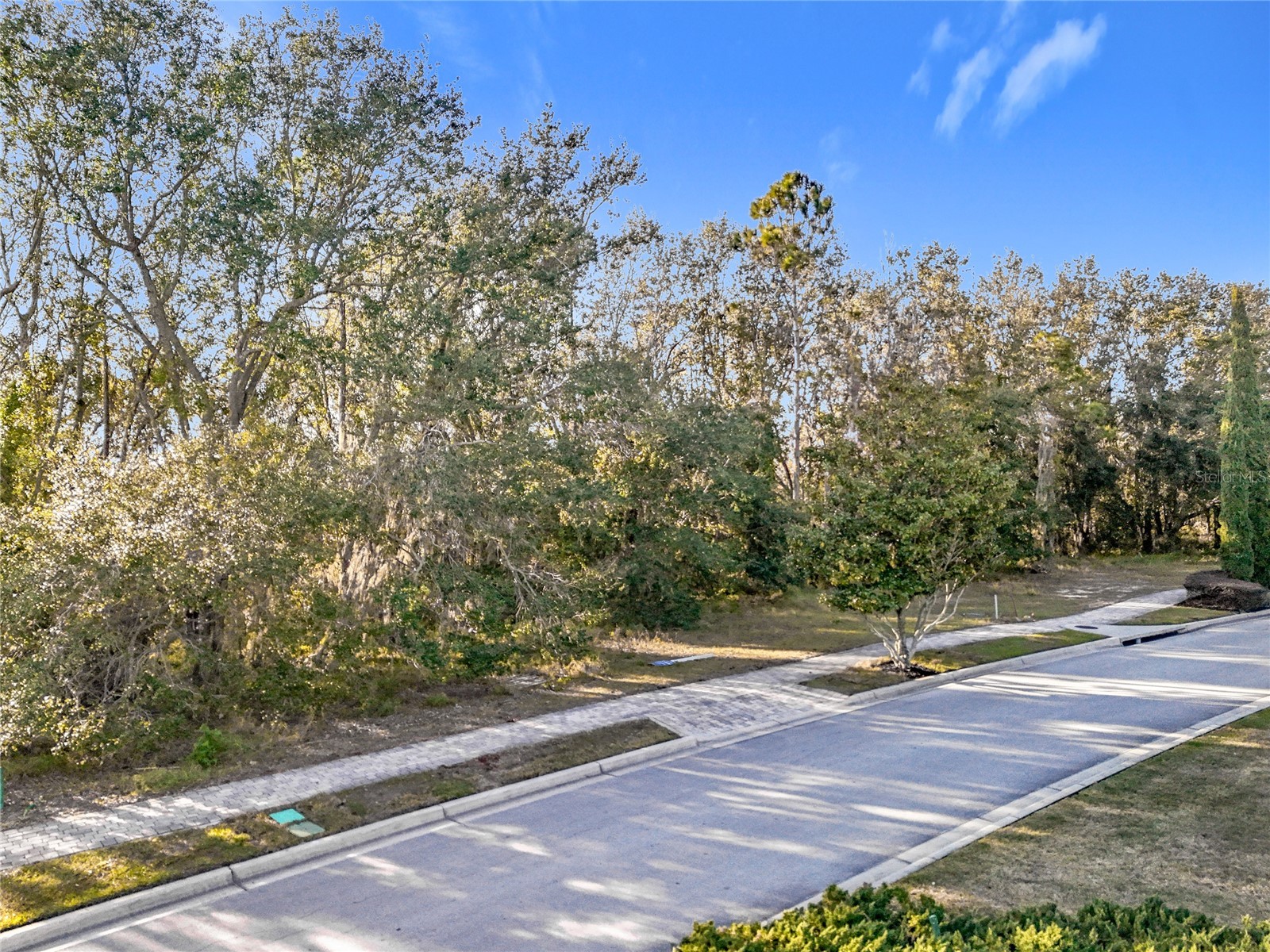 15437 Pendio Drive Montverde FL 34756 - LAKE SIENA O6273201 image33