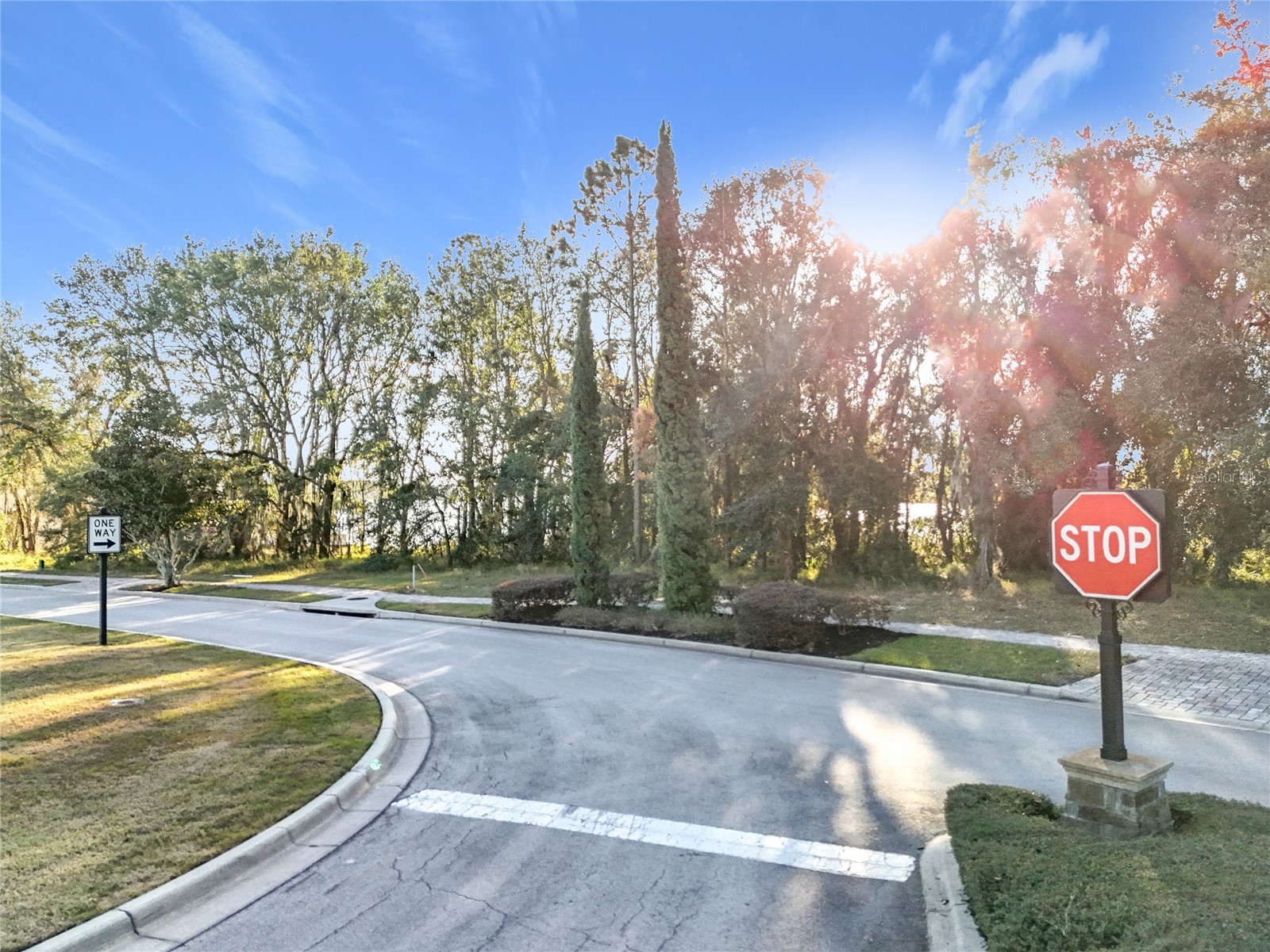 15437 Pendio Drive Montverde FL 34756 - LAKE SIENA O6273201 image8