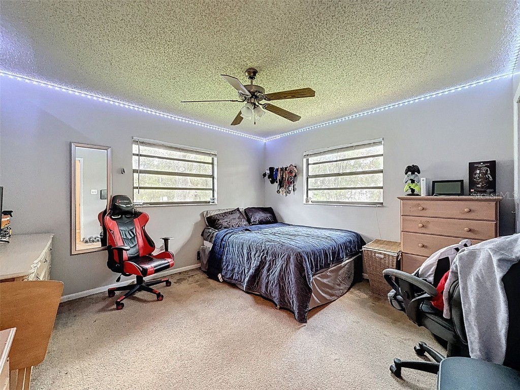 15438/15440 Azra Dr Odessa FL 33556 W7878188 image52