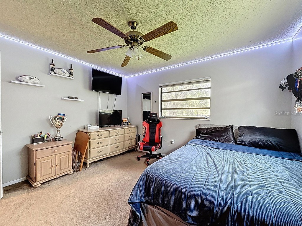 15438/15440 Azra Dr Odessa FL 33556 W7878188 image54