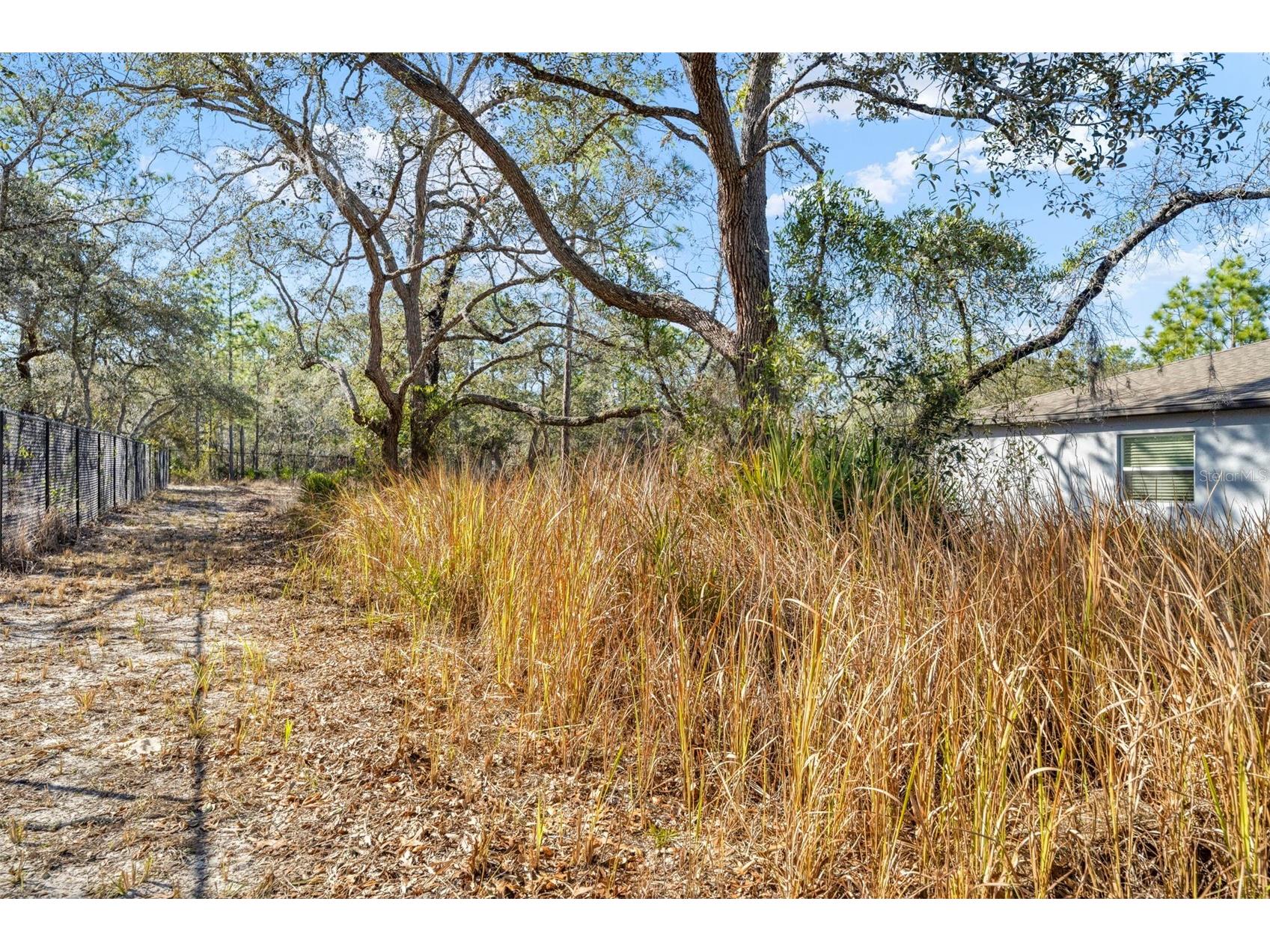 15439 Mount Sparrow Road Weeki Wachee FL 34614 TB8473236 image11