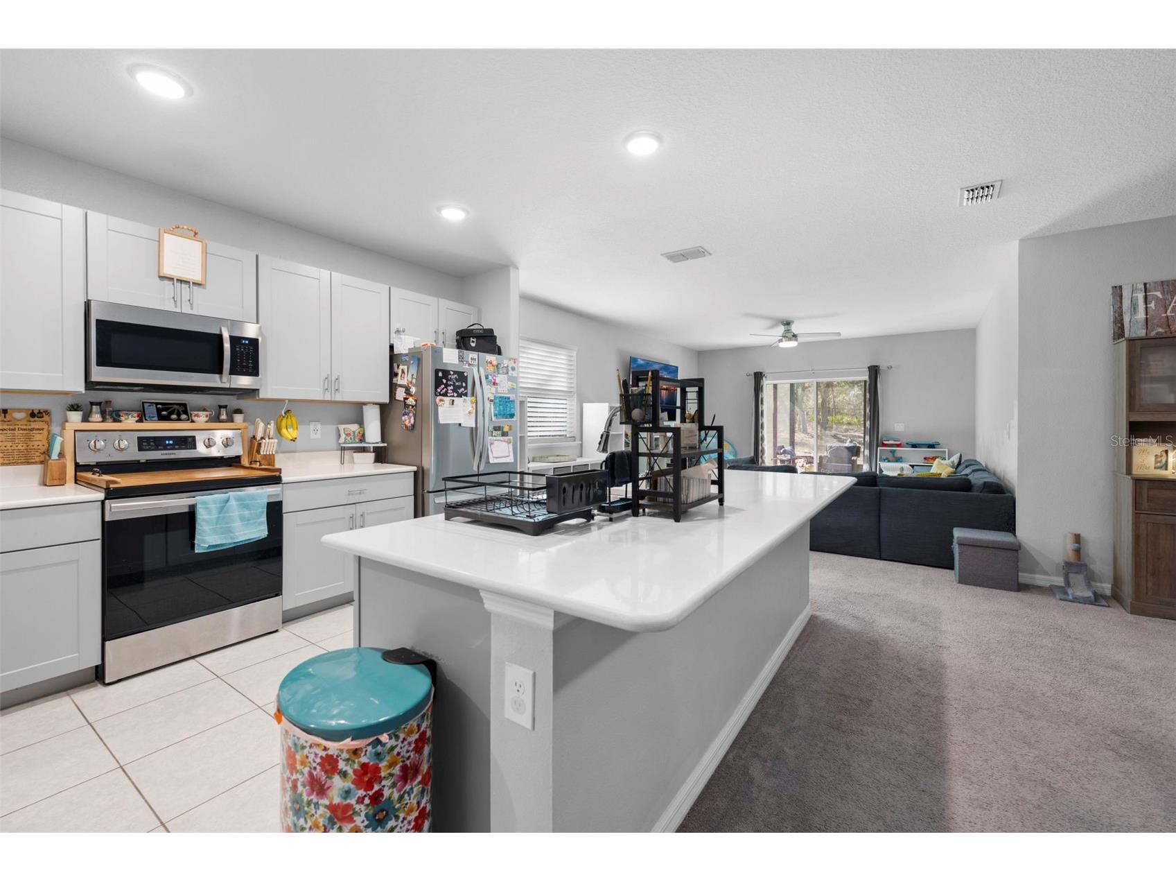 15439 Mount Sparrow Road Weeki Wachee FL 34614 TB8473236 image29