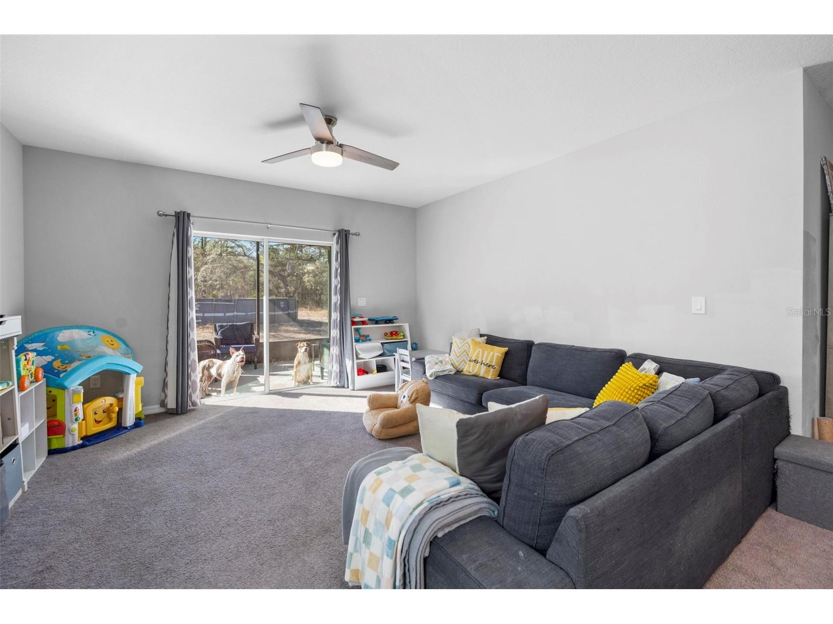 15439 Mount Sparrow Road Weeki Wachee FL 34614 TB8473236 image33