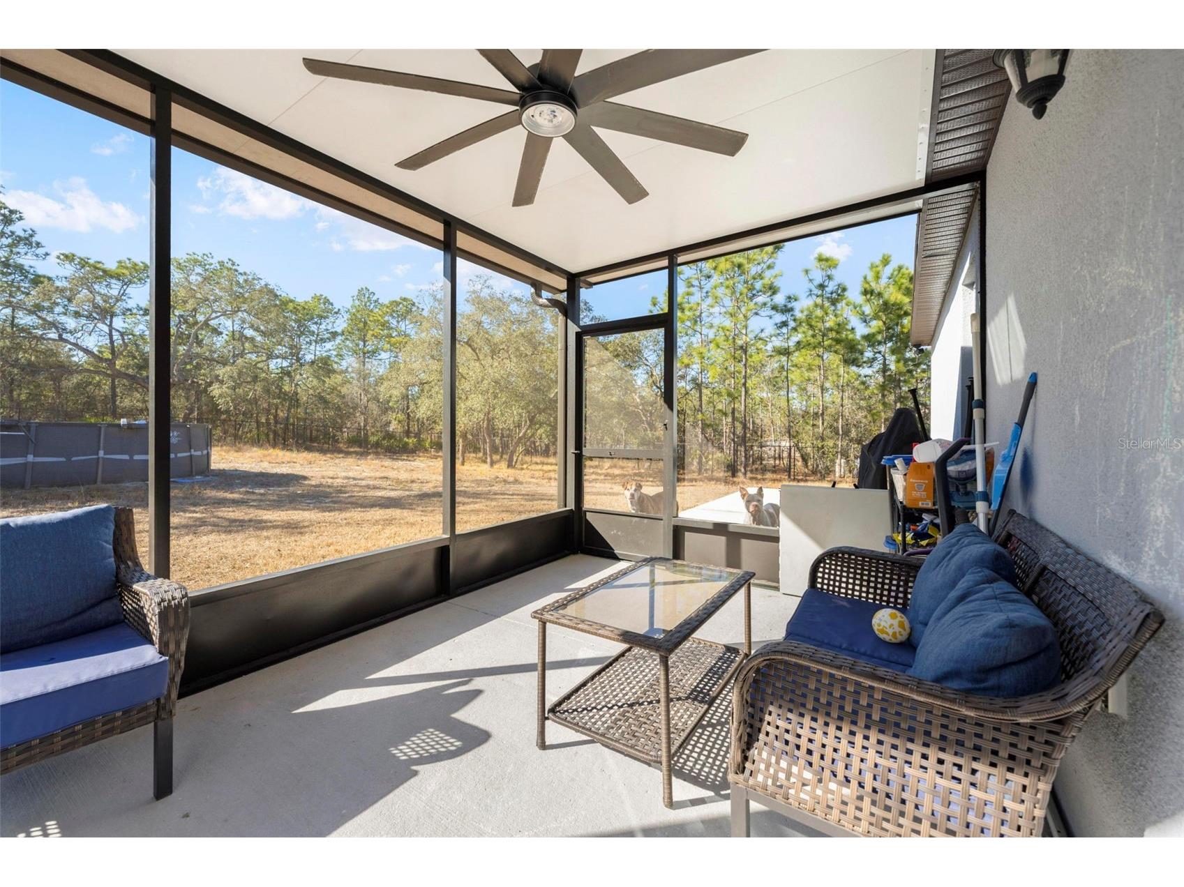 15439 Mount Sparrow Road Weeki Wachee FL 34614 TB8473236 image50