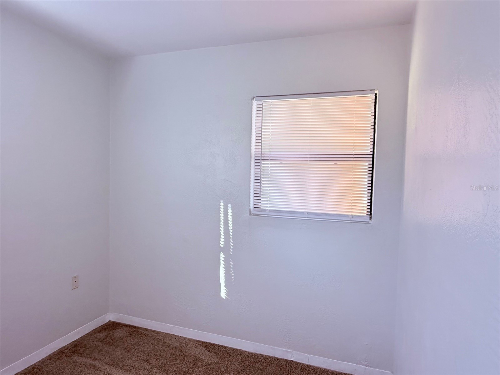 1544 77th Avenue N Saint Petersburg FL 33702 TB8470107 image18