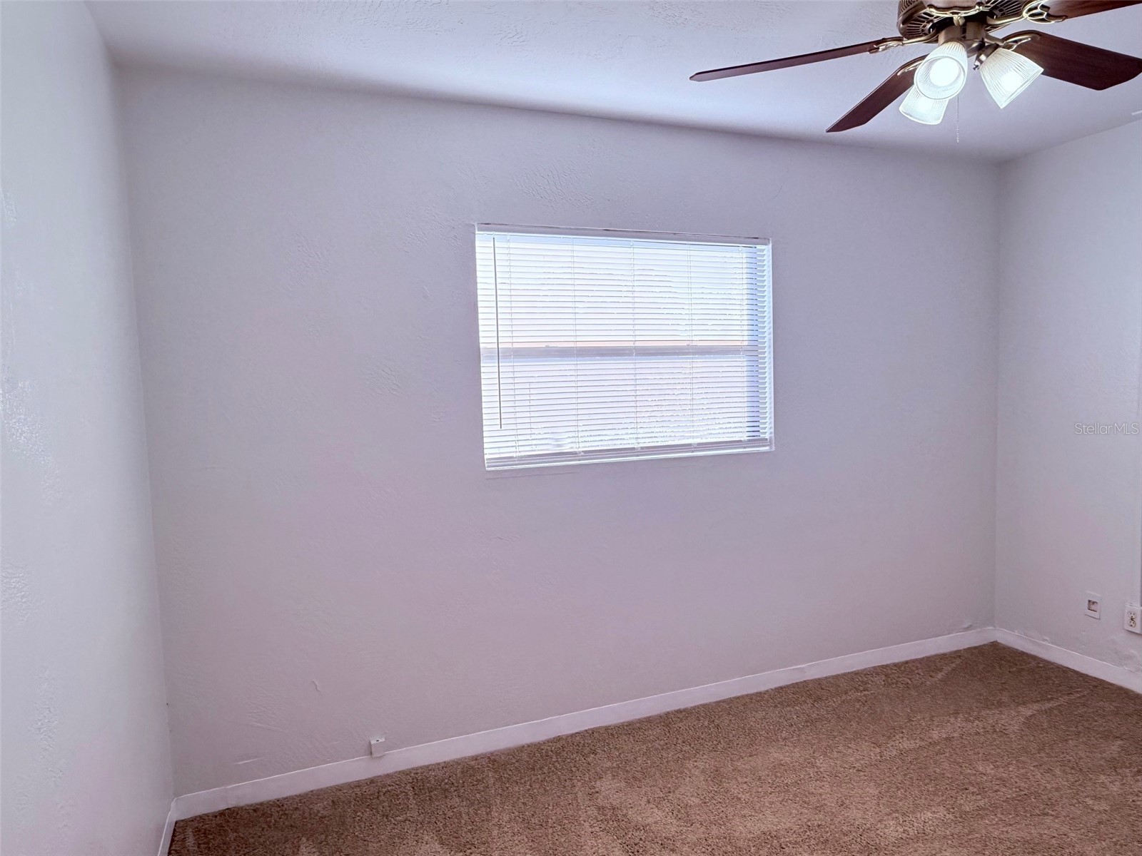 1544 77th Avenue N Saint Petersburg FL 33702 TB8470107 image9