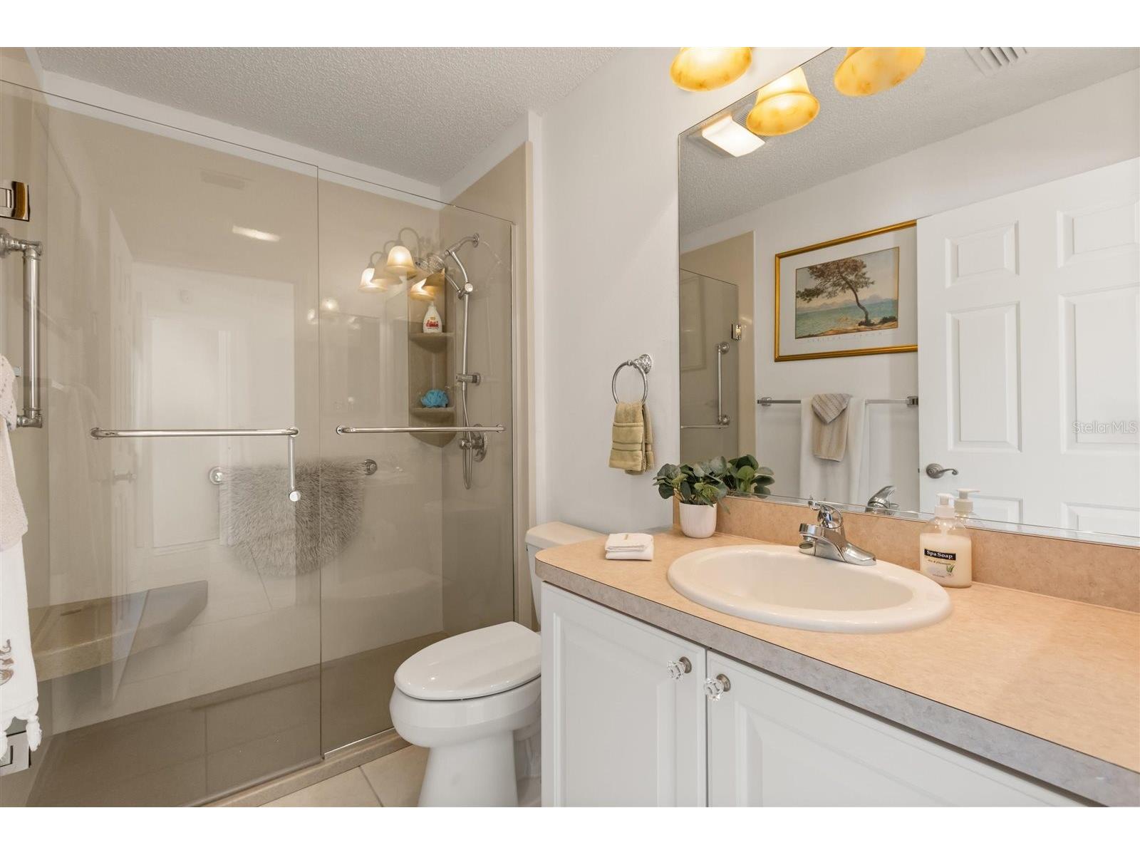 1544 Lime Grove Lane The Villages FL 32162 G5111692 image25