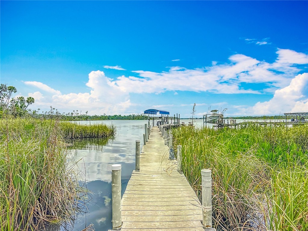 1544 NW 17th Court Crystal River FL 34428 - CRYSTAL RIVER - BAGLEY COVE OM700131 image61