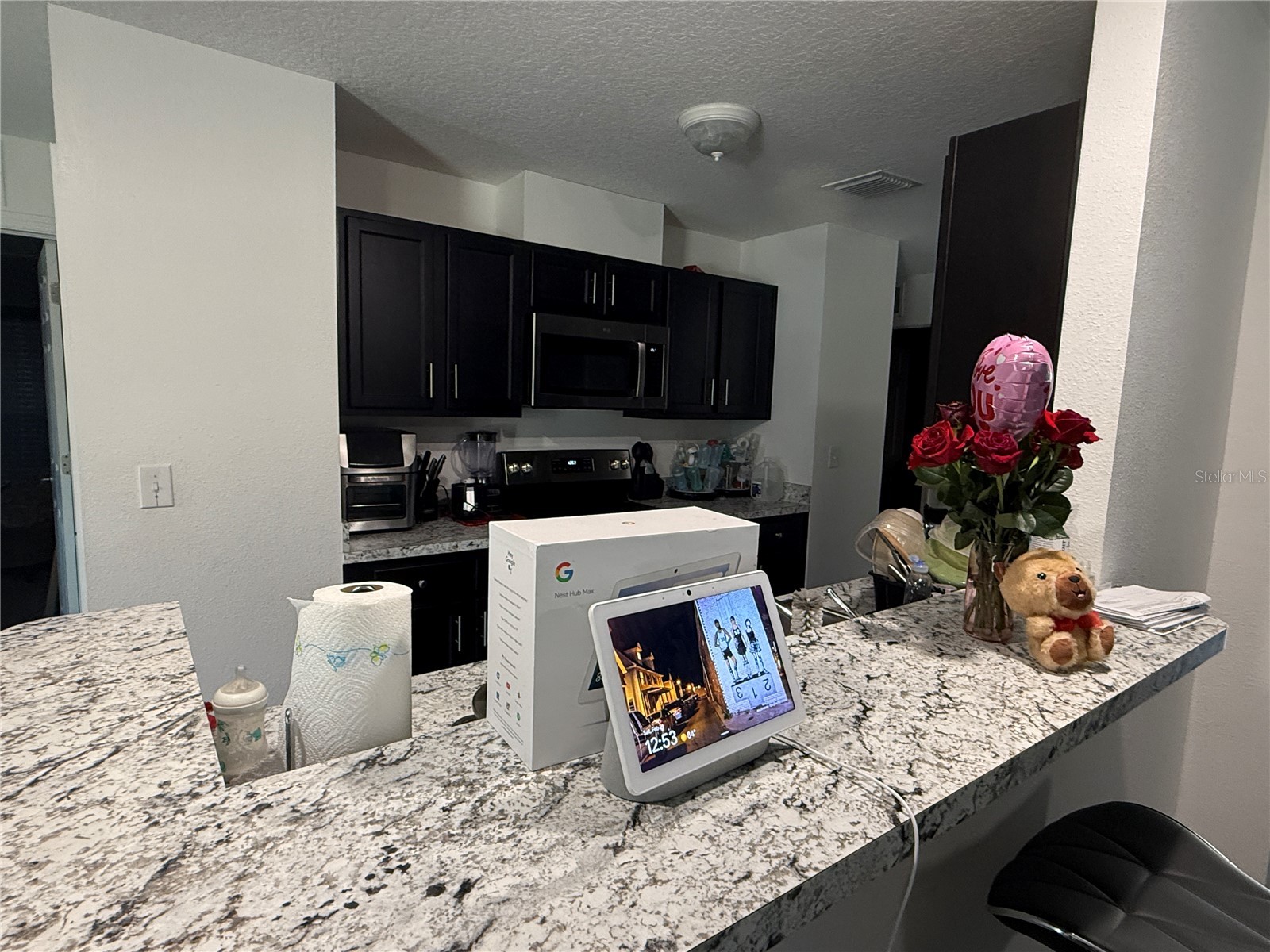 15442 Callista Lane Dade City FL 33523 TB8479047 image14
