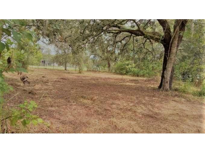 15443 Hays Road Spring Hill FL 34610 L4938568 image1