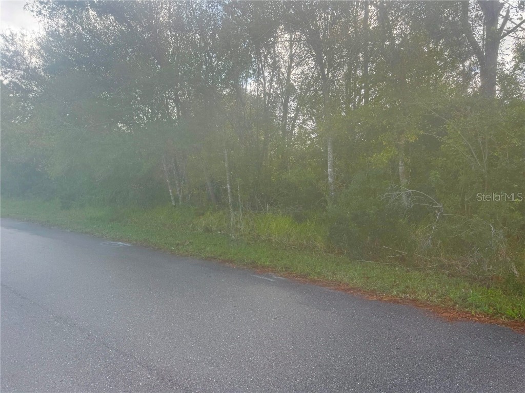 15443 Lime Drive Punta Gorda FL 33955 A4632753 image1