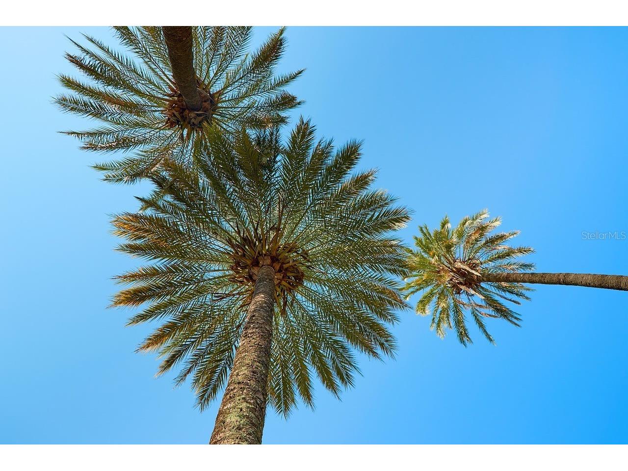 15447 Aron Circle Port Charlotte FL 33981 D6142254 image62