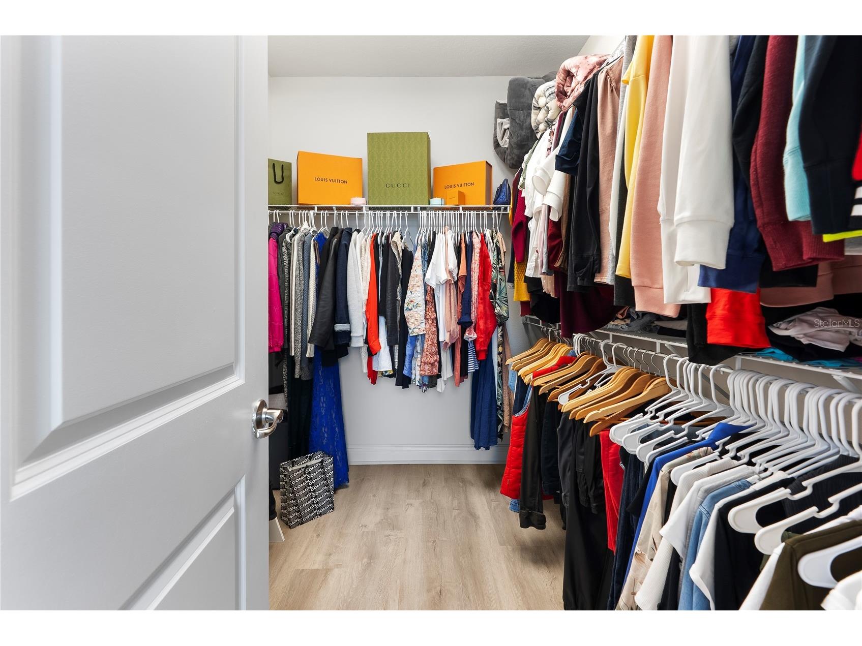 15448 Murcott Blossom Boulevard Winter Garden FL 34787 O6384453 image33