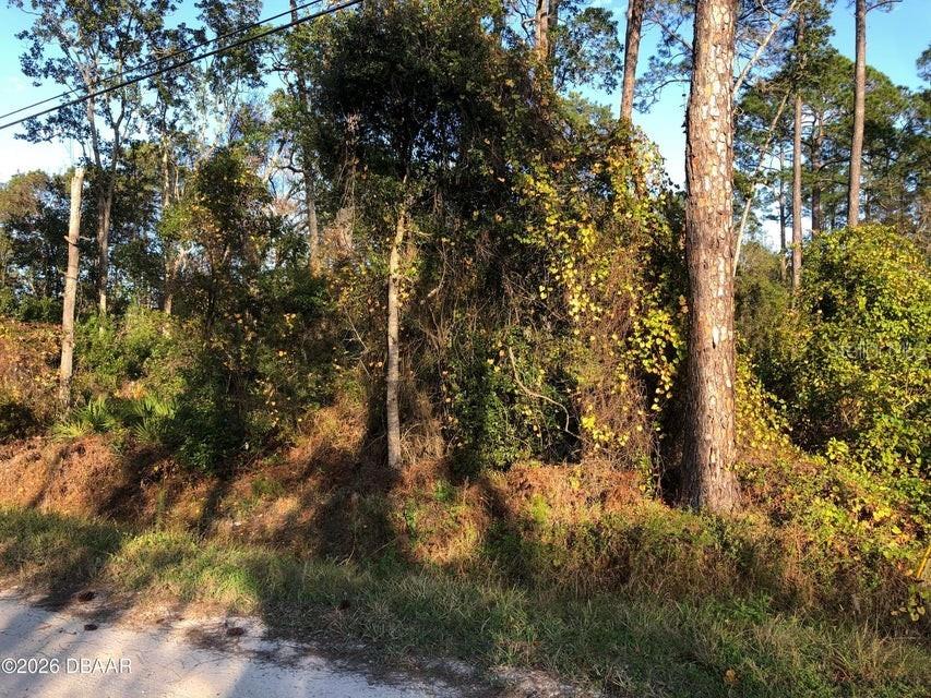 1545 10th Avenue Deland FL 32724 V4946550 image4