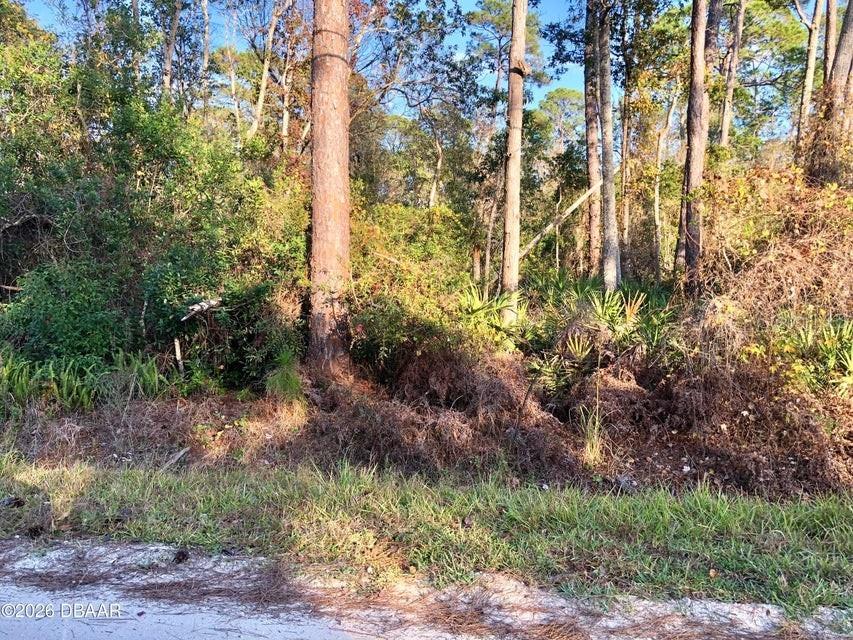 1545 10th Avenue Deland FL 32724 V4946550 image5