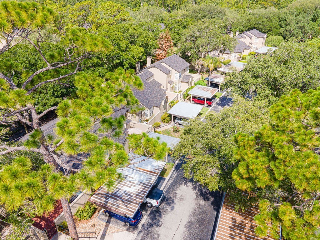 1545 Farrindon Circle #1545 Lake Mary FL 32746 S5153729 image44