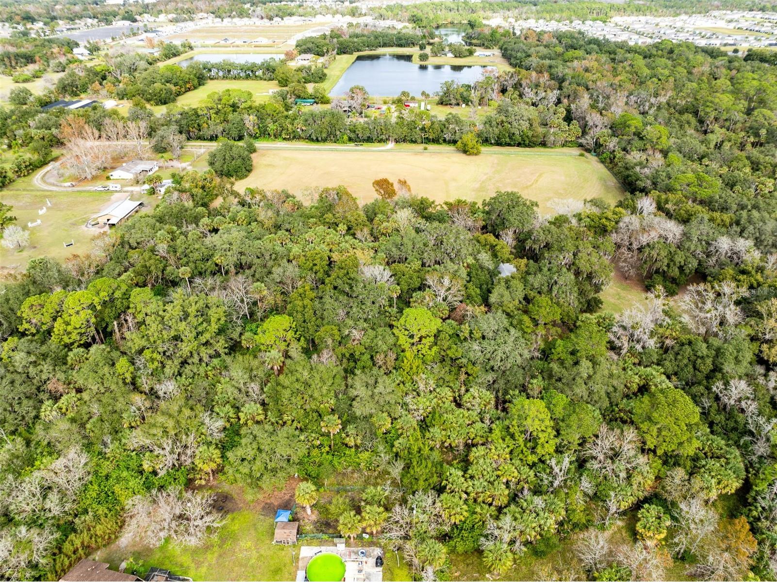 1545 Palm Way Sanford FL 32773 O6373841 image10