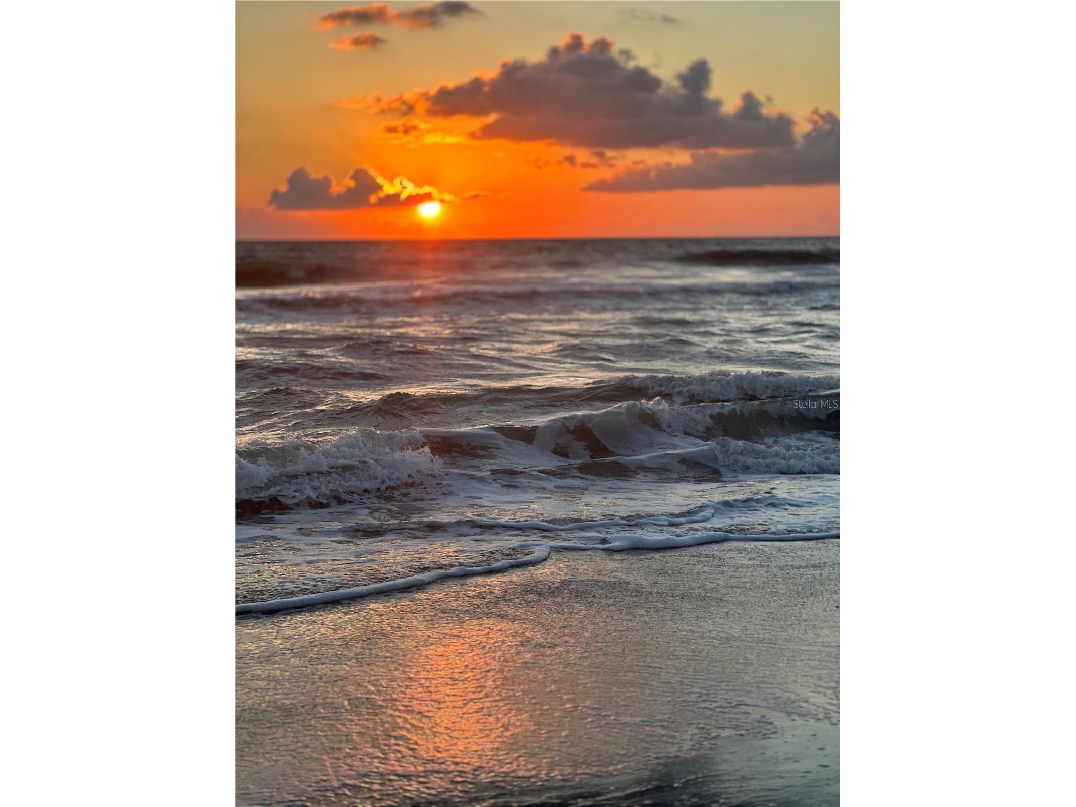 1545 Sflagler Flagler Beach FL 32136 FC312323 image27