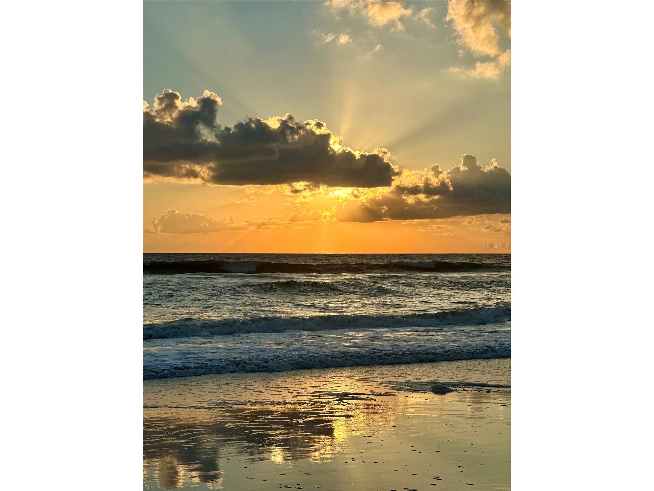 1545 Sflagler Flagler Beach FL 32136 FC312323 image28