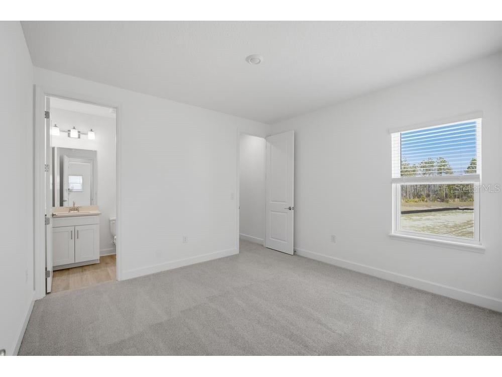 1545 Trailhead Lane Zephyrhills FL 33541 TB8482440 image17