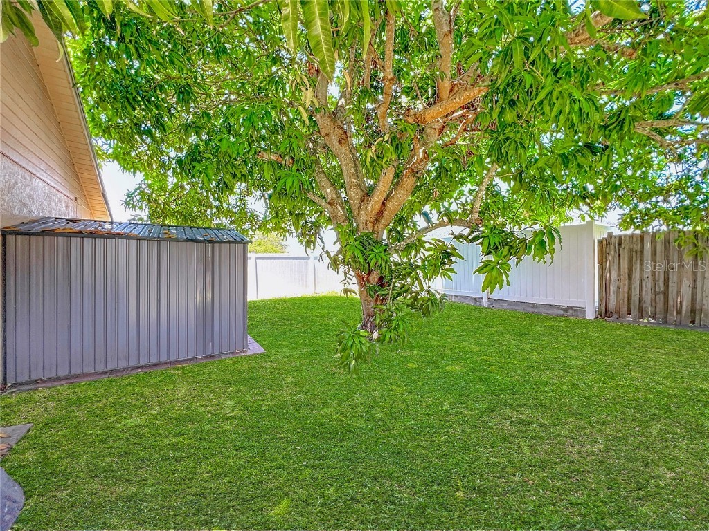 1545 Trumbull Street Kissimmee FL 34744 O6330694 image59