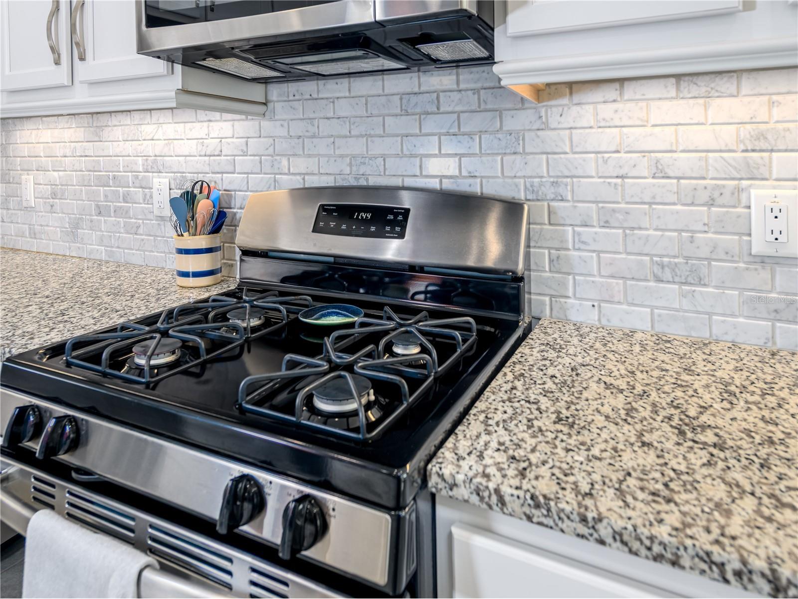 15452 Santa Pola Drive Wimauma FL 33598 TB8472709 image13