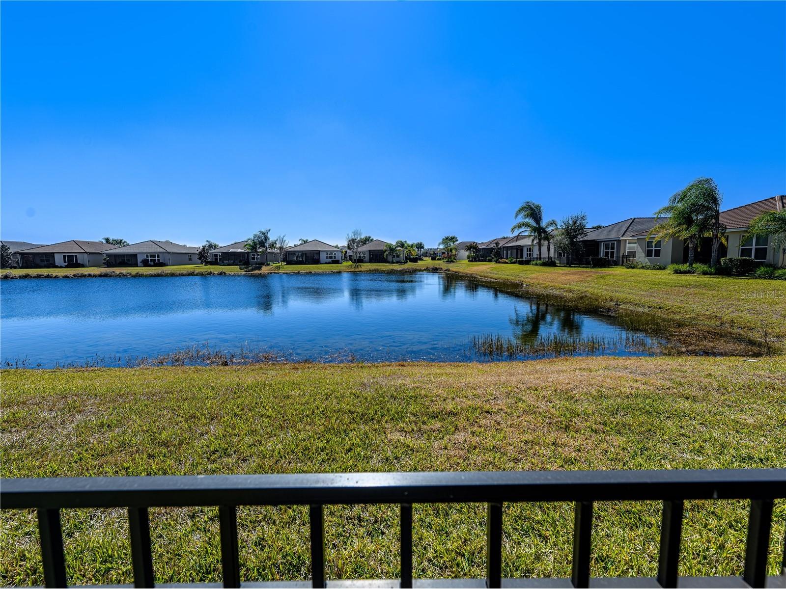 15452 Santa Pola Drive Wimauma FL 33598 TB8472709 image41