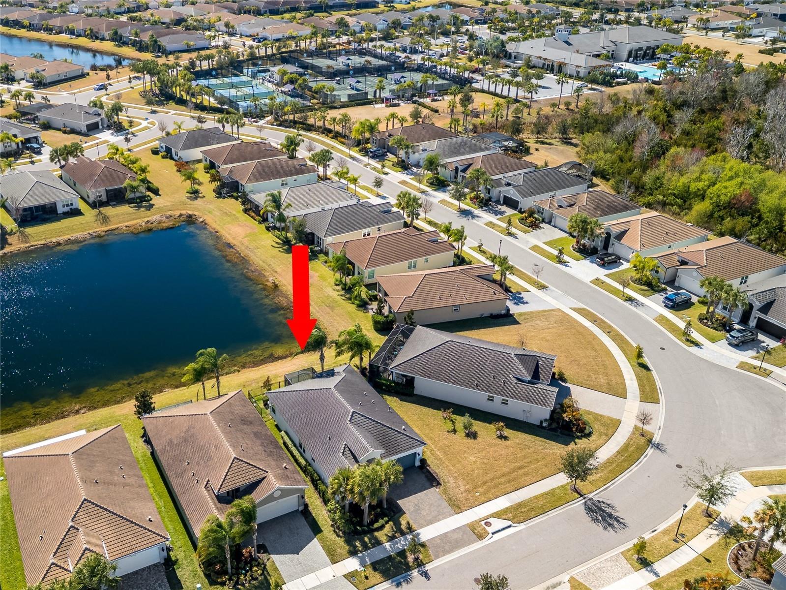 15452 Santa Pola Drive Wimauma FL 33598 TB8472709 image44