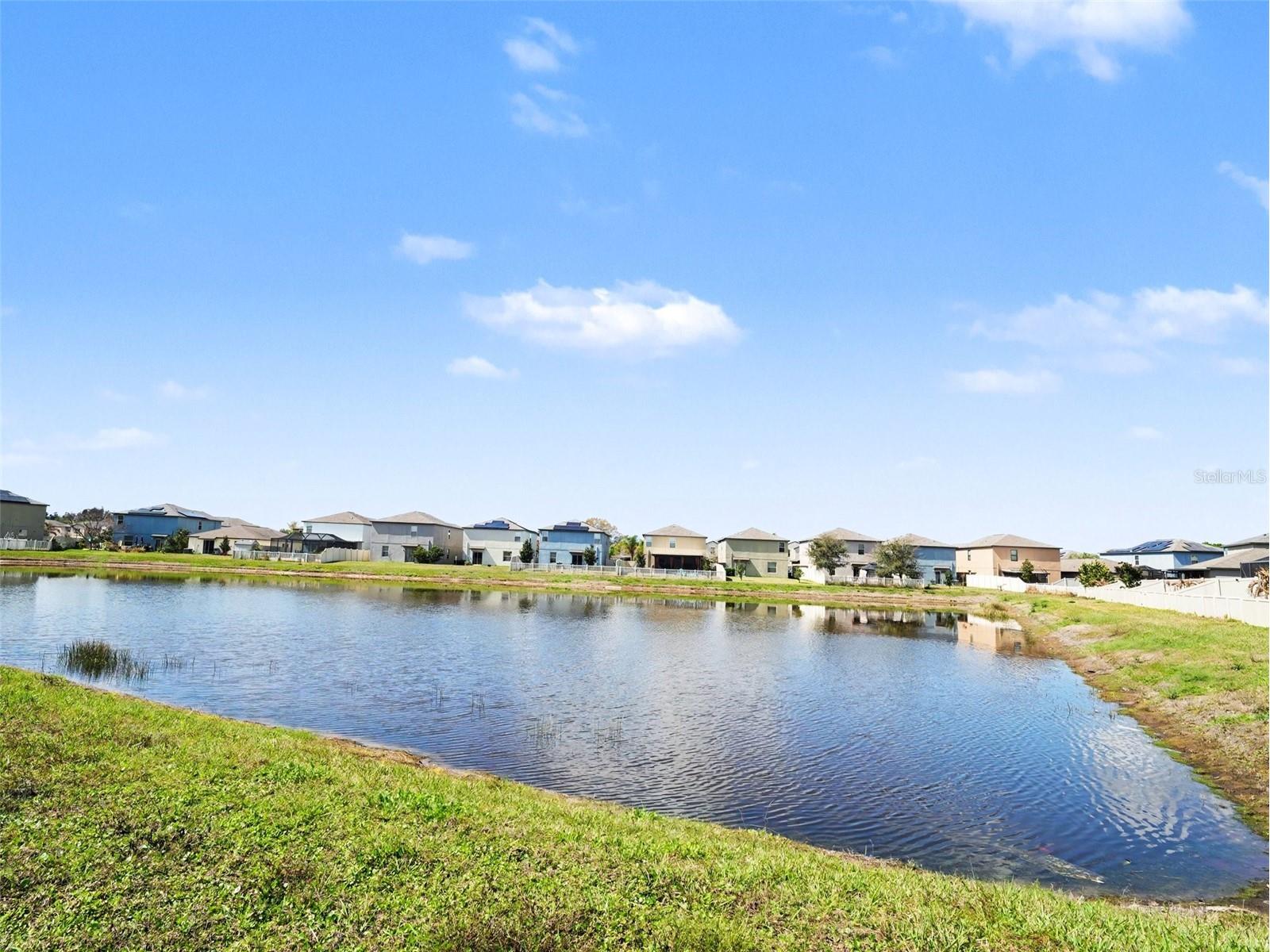 15453 Broad Brush Drive Sun City Center FL 33573 A4681361 image33