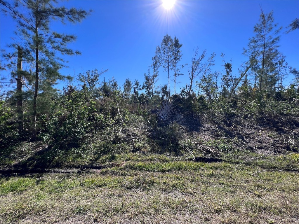 15459 Melport Circle Port Charlotte FL 33981 D6128696 image1