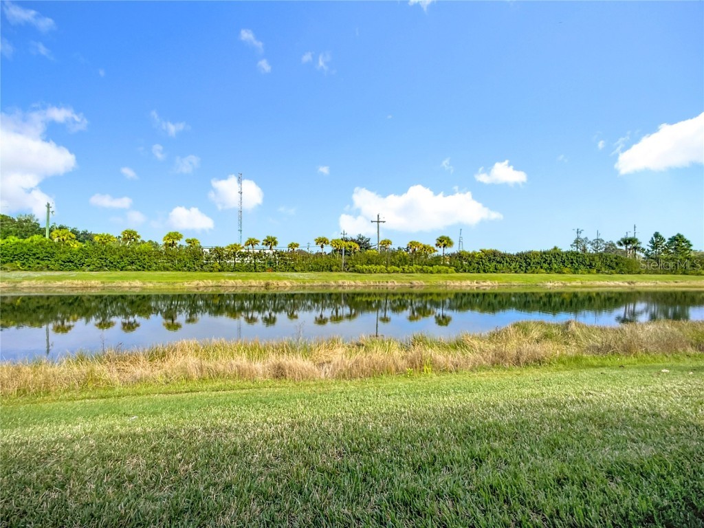 15459 Santa Pola Drive Wimauma FL 33598 TB8455512 image38