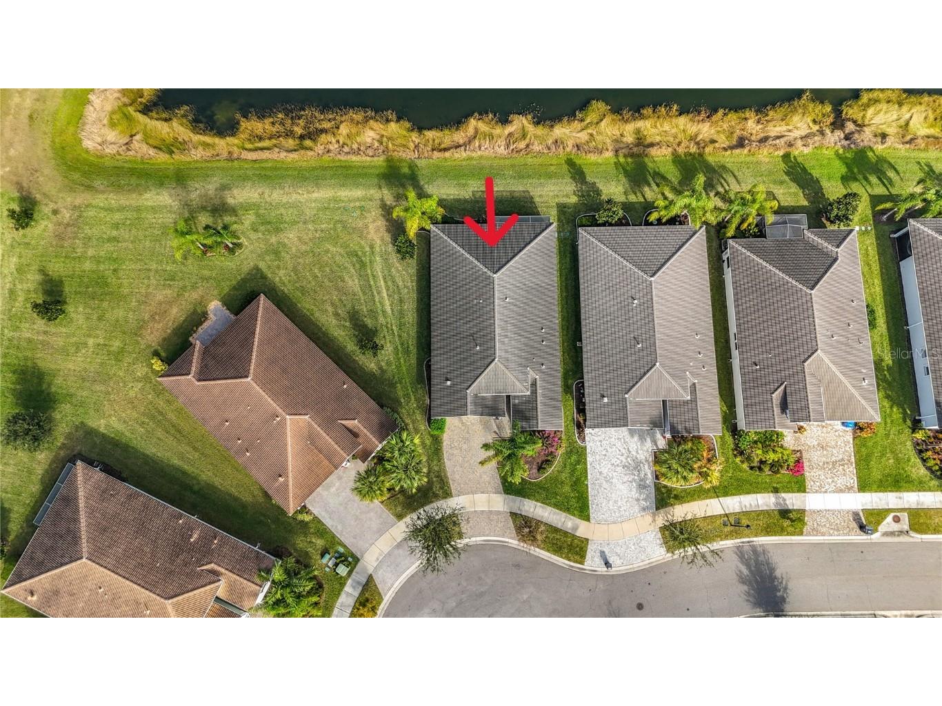 15459 Santa Pola Drive Wimauma FL 33598 TB8455512 image43