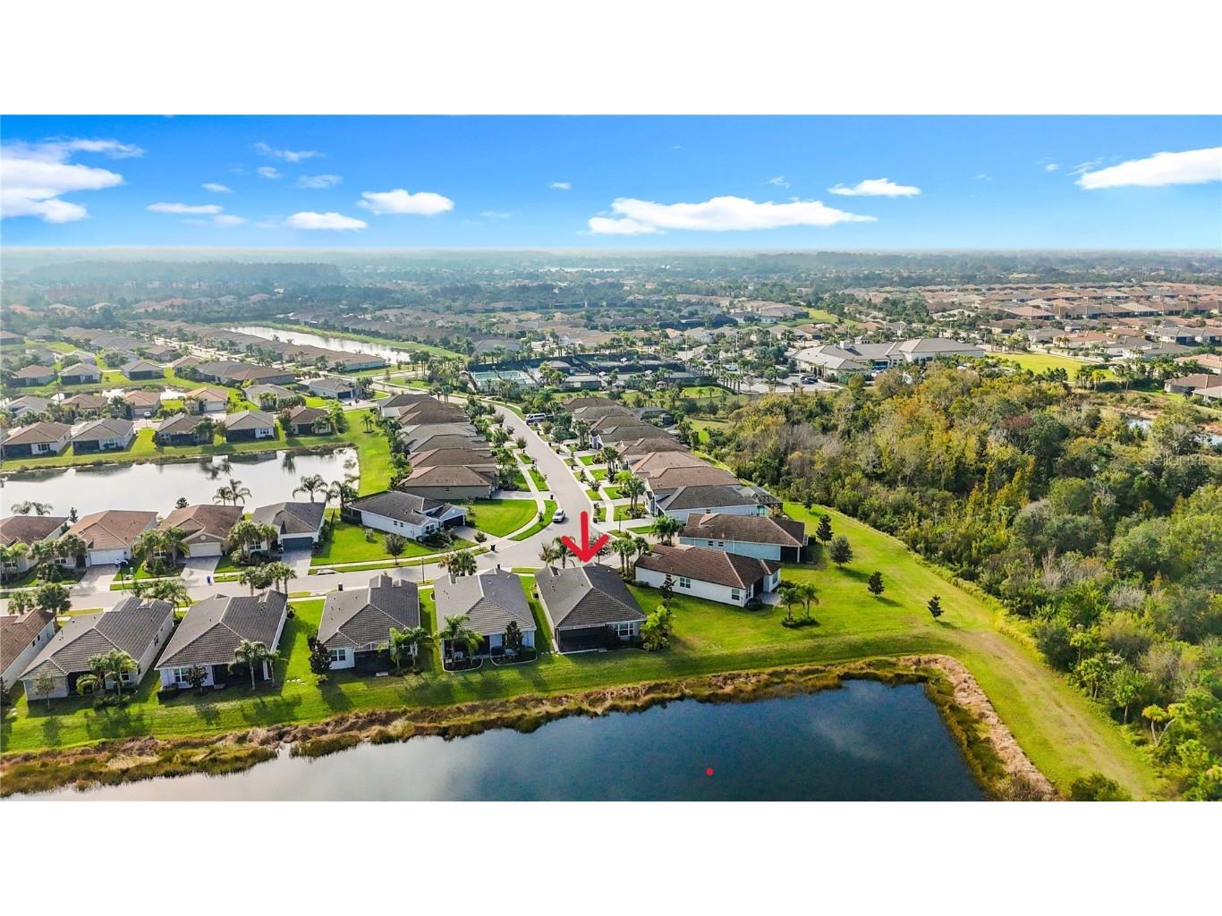 15459 Santa Pola Drive Wimauma FL 33598 TB8455512 image45