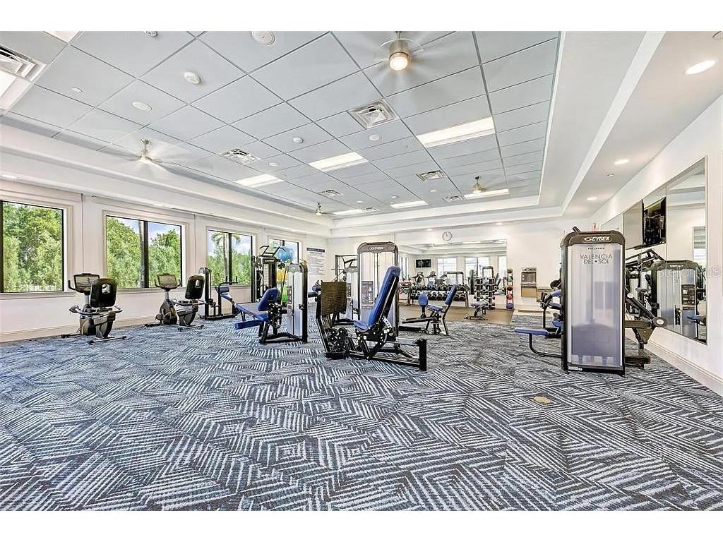 15459 Santa Pola Drive Wimauma FL 33598 TB8455512 image65