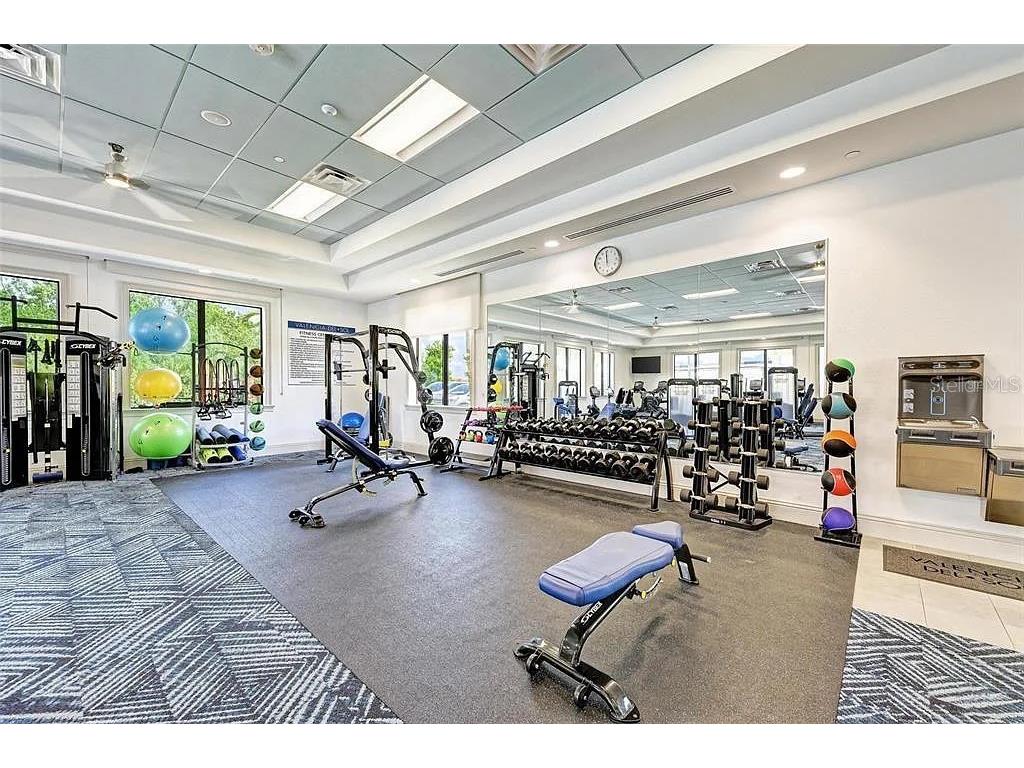 15459 Santa Pola Drive Wimauma FL 33598 TB8455512 image66