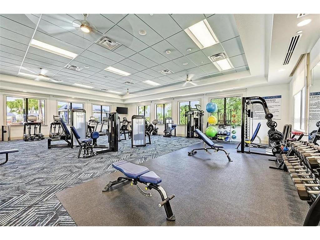 15459 Santa Pola Drive Wimauma FL 33598 TB8455512 image67