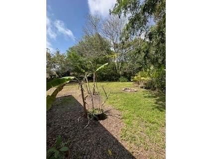 1546 Belleair Road Clearwater FL 33755 TB8356542 image11