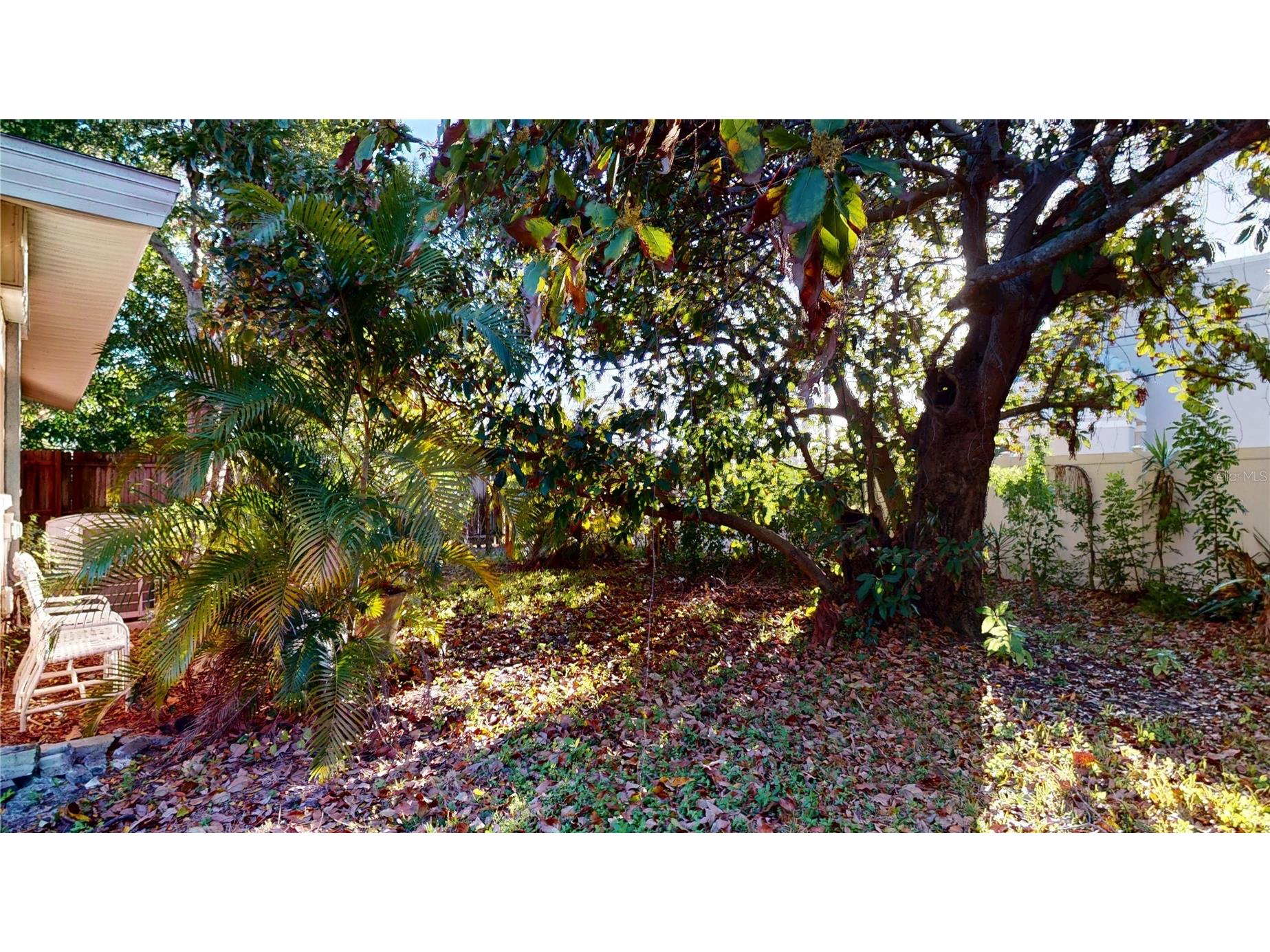 1546 Belleair Road Clearwater FL 33756 TB8473245 image43