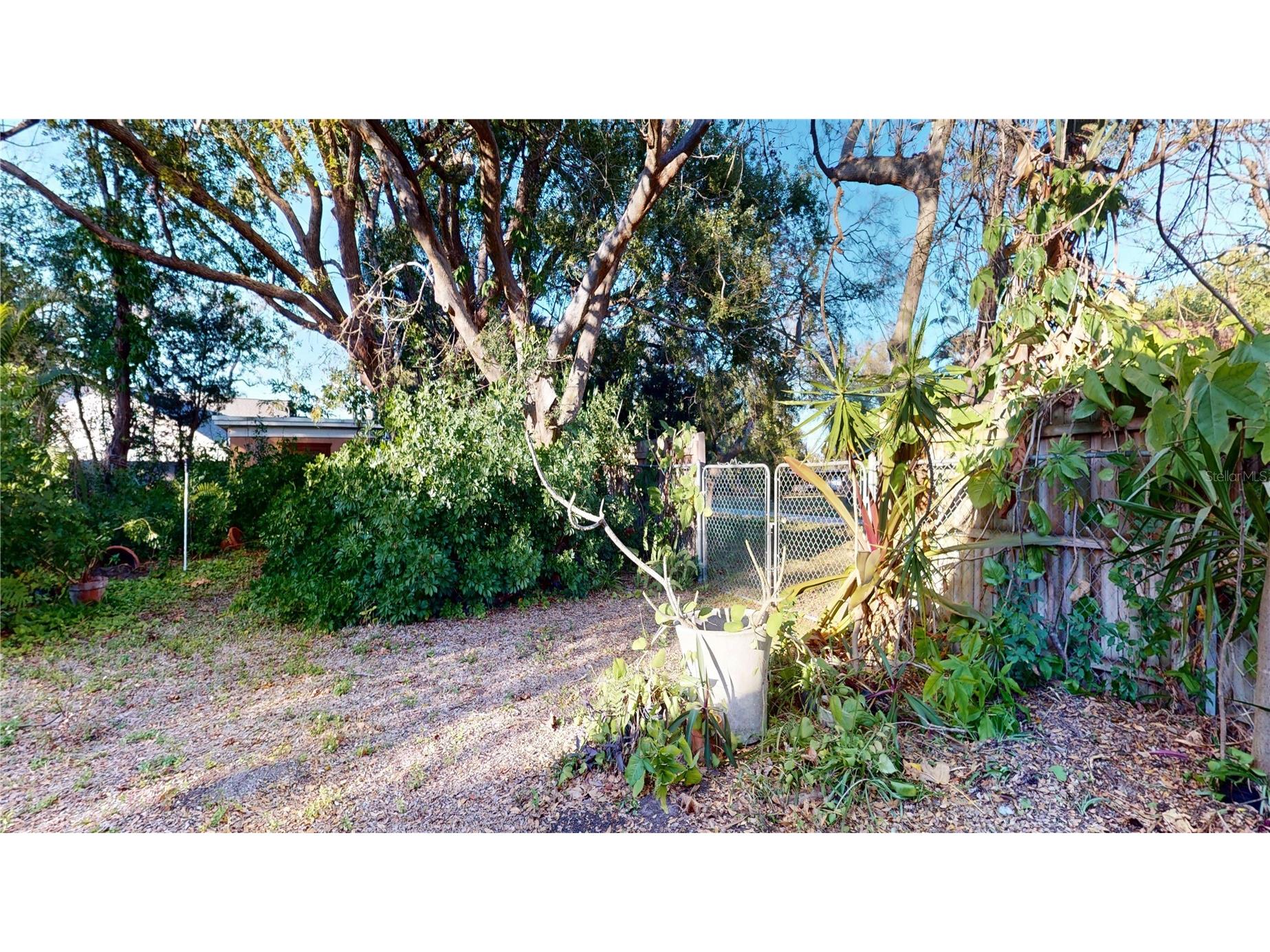 1546 Belleair Road Clearwater FL 33756 TB8473245 image46